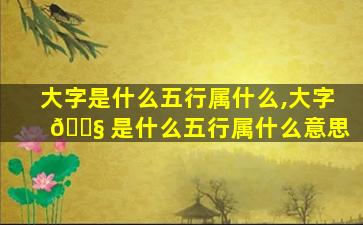 大字是什么五行属什么,大字 🐧 是什么五行属什么意思